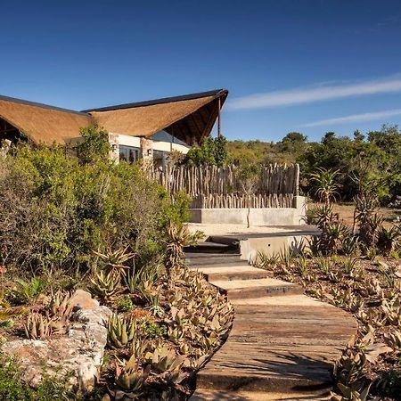 Lalibela Game Reserve - Kichaka Lodge Paterson Ngoại thất bức ảnh