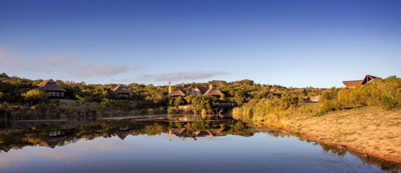Lalibela Game Reserve - Kichaka Lodge Paterson Ngoại thất bức ảnh