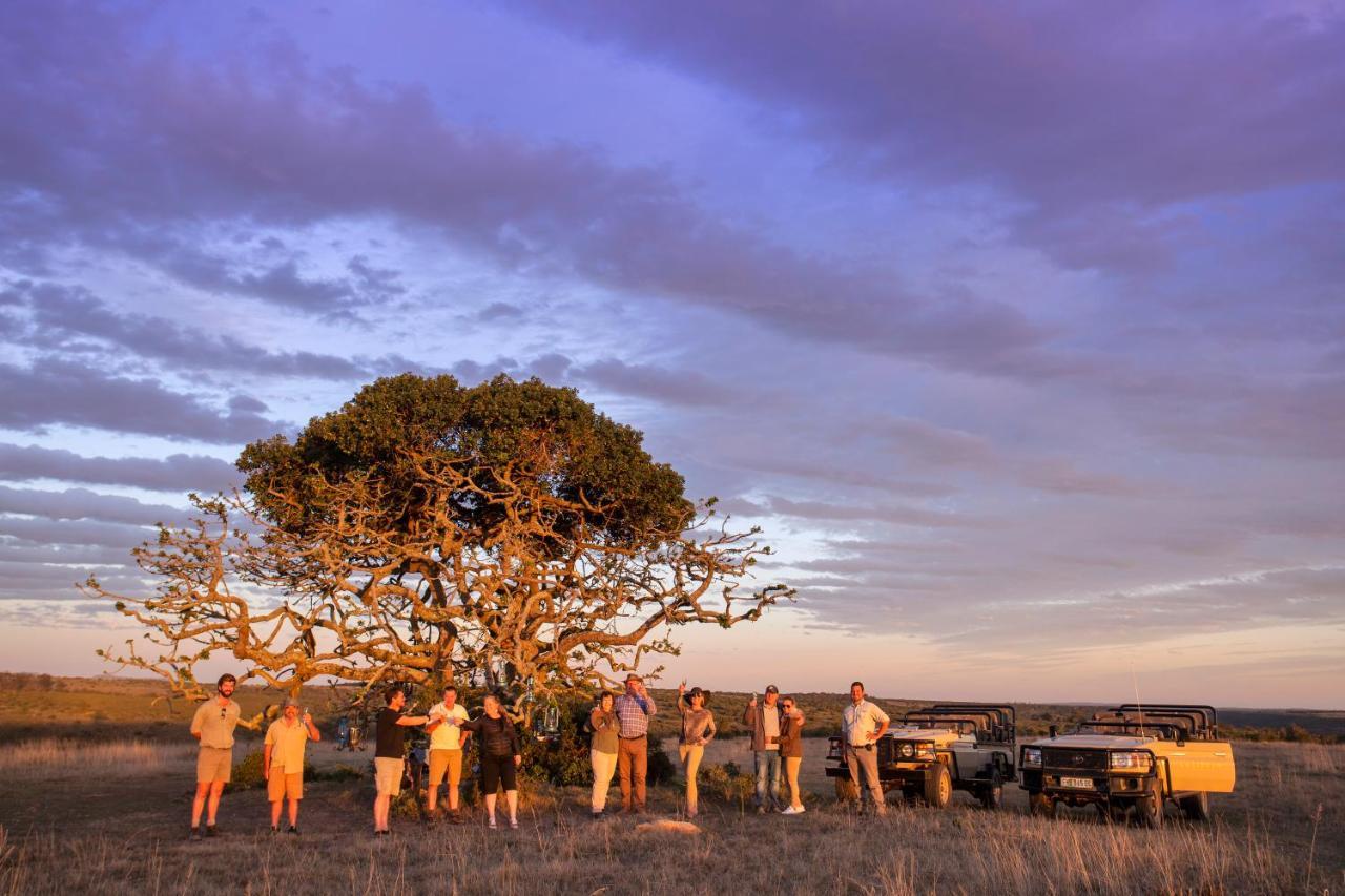 Lalibela Game Reserve - Kichaka Lodge Paterson Ngoại thất bức ảnh