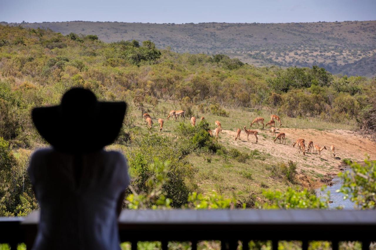 Lalibela Game Reserve - Kichaka Lodge Paterson Ngoại thất bức ảnh