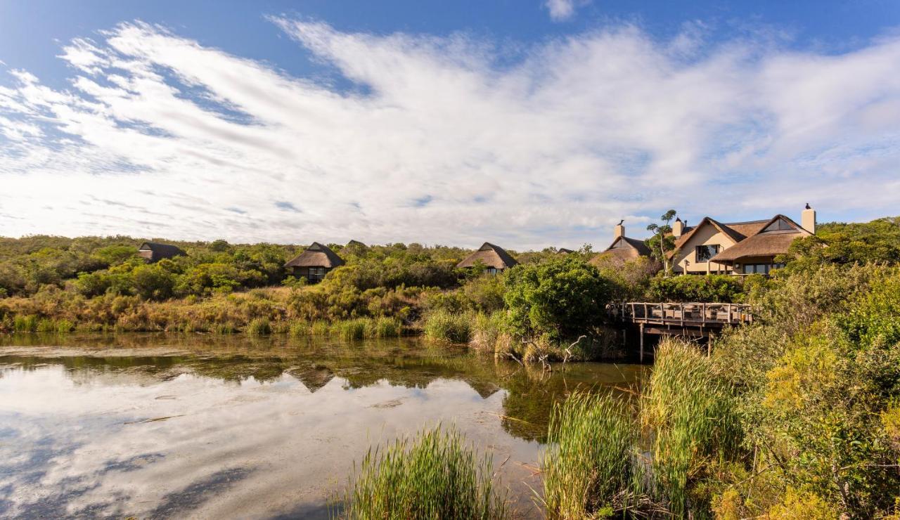Lalibela Game Reserve - Kichaka Lodge Paterson Ngoại thất bức ảnh