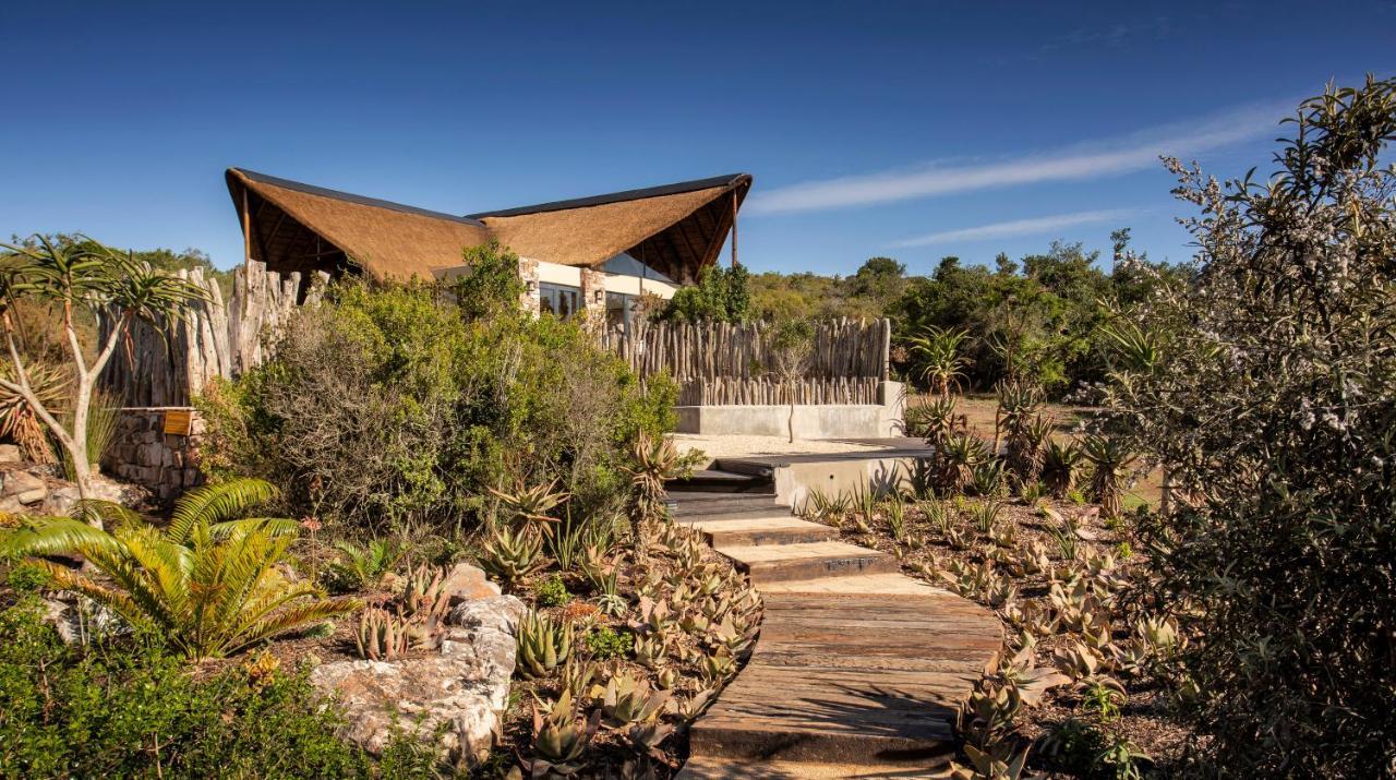 Lalibela Game Reserve - Kichaka Lodge Paterson Ngoại thất bức ảnh