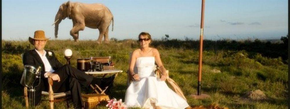 Lalibela Game Reserve - Kichaka Lodge Paterson Ngoại thất bức ảnh