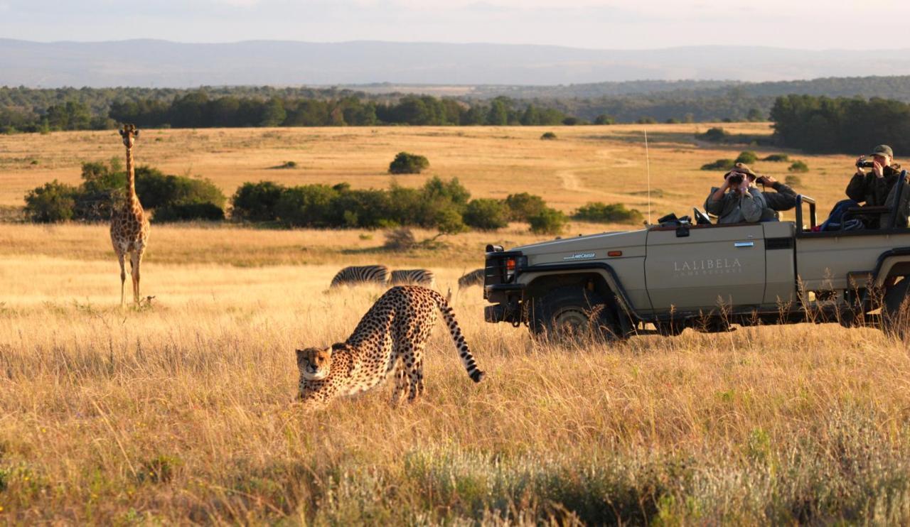 Lalibela Game Reserve - Kichaka Lodge Paterson Ngoại thất bức ảnh